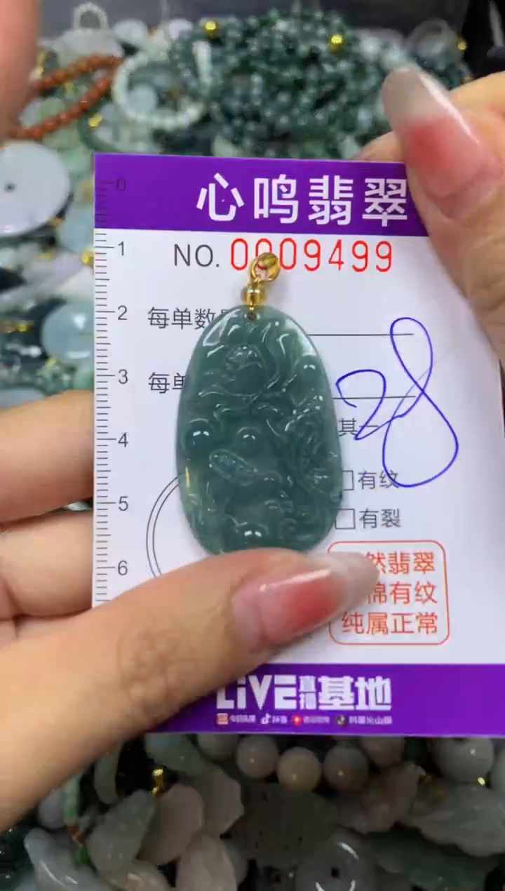 翡翠未镶嵌颈饰闪购009499