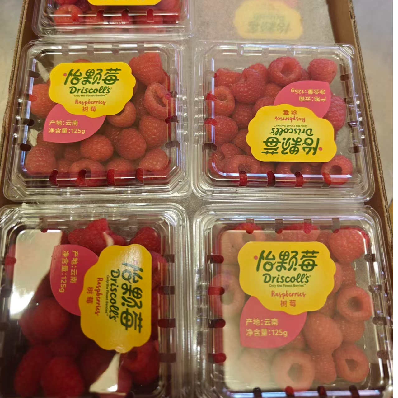 Driscoll怡颗莓红树莓