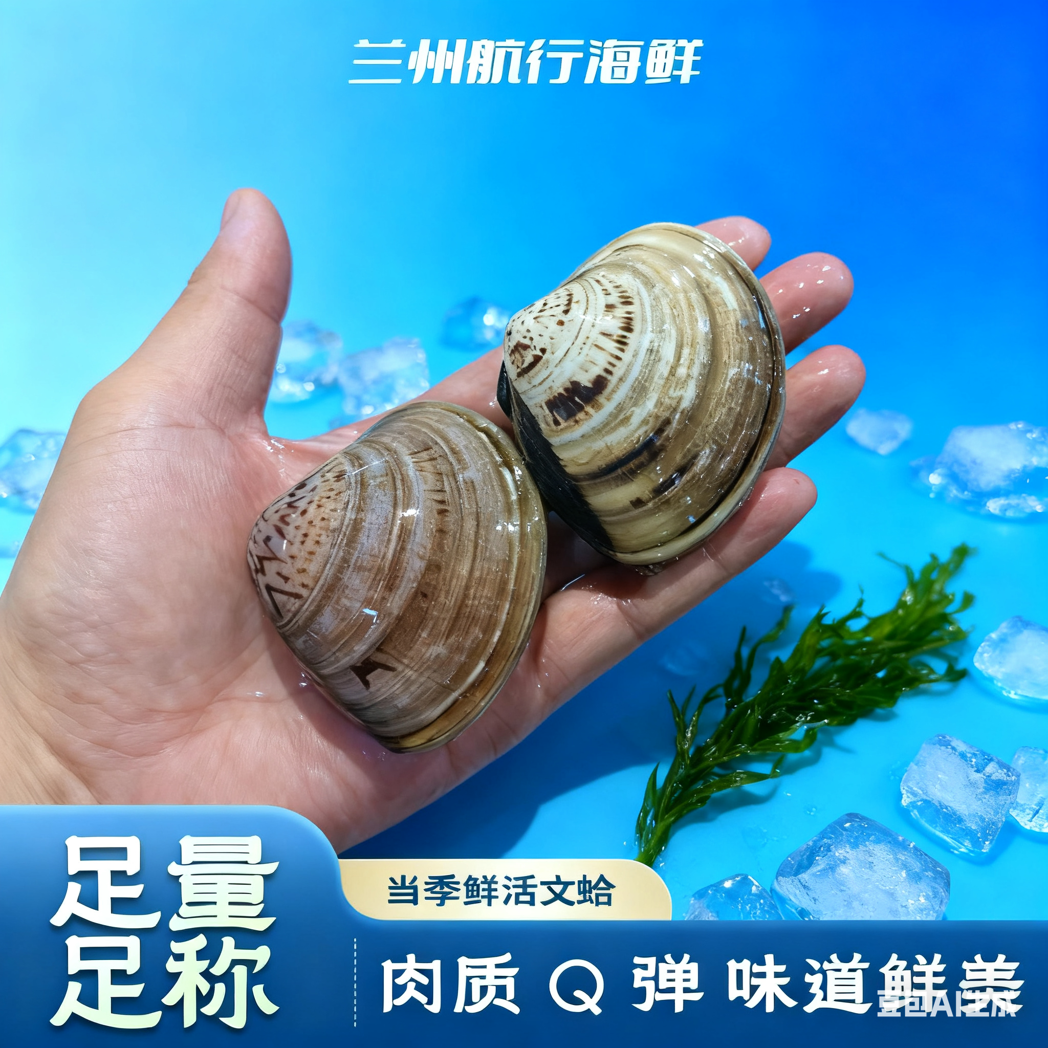 《鲜活》丹东大个文蛤文贝适合做汤白灼辣炒2斤起拍包活到家