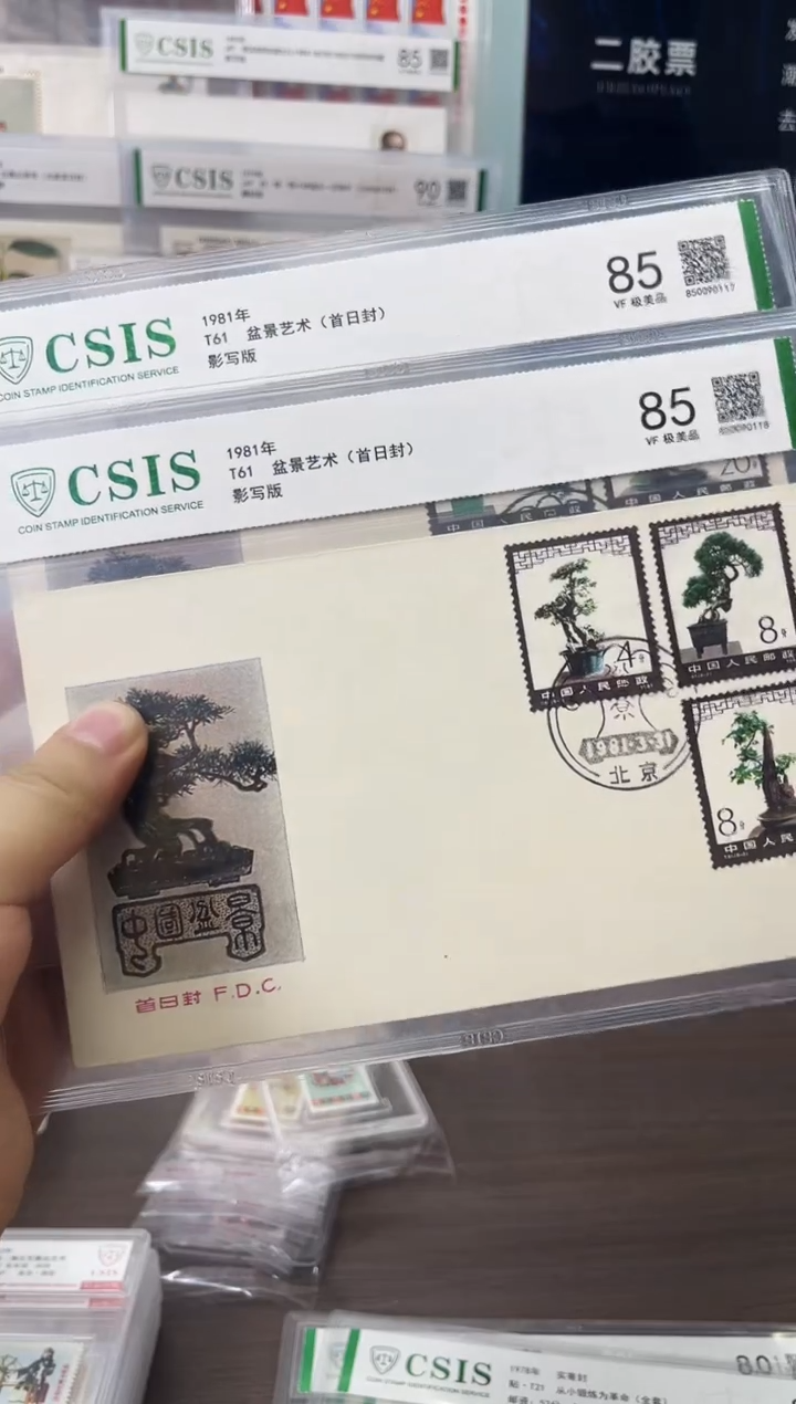  T61 盆景艺术 首日封 信泰85
