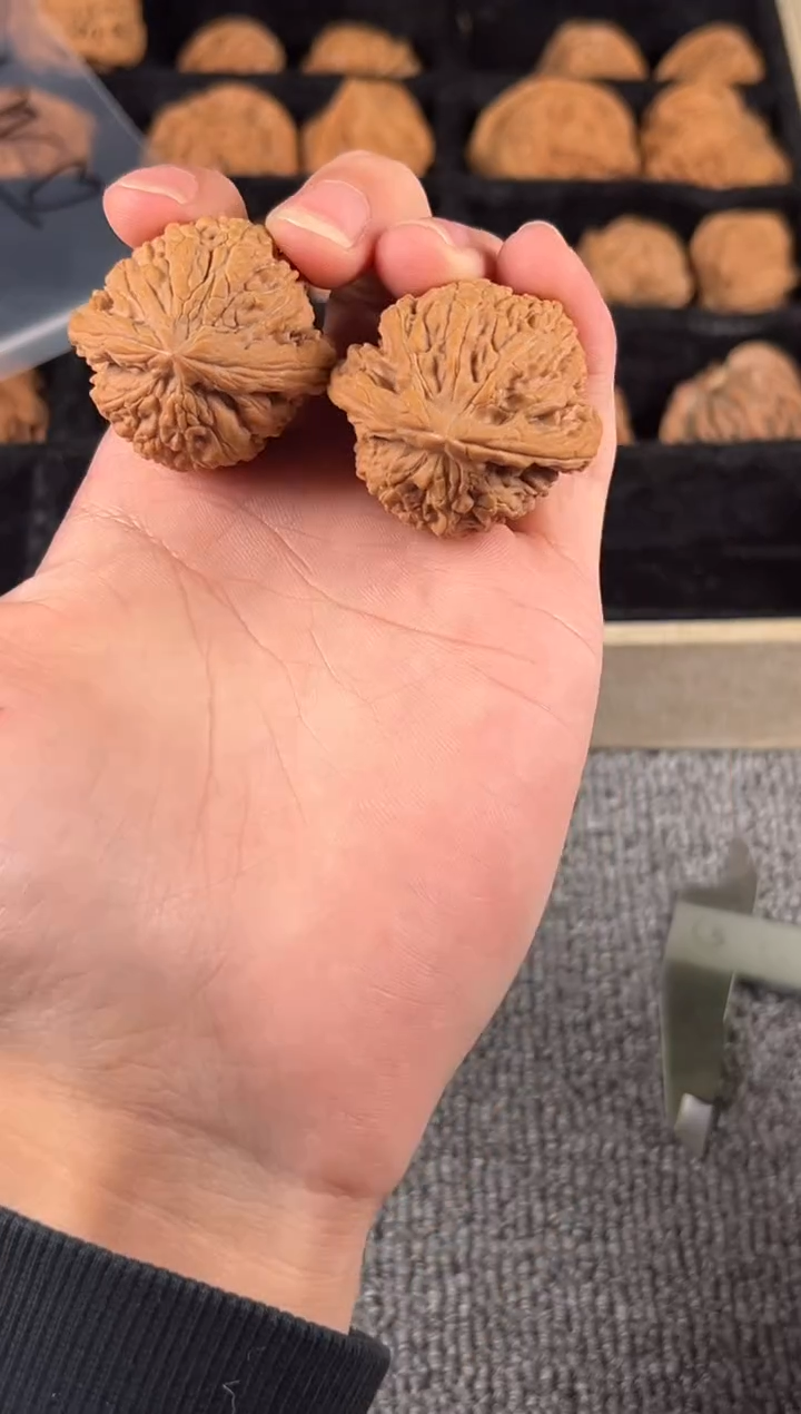 吊坠文玩核桃精品蚂蚁王13号