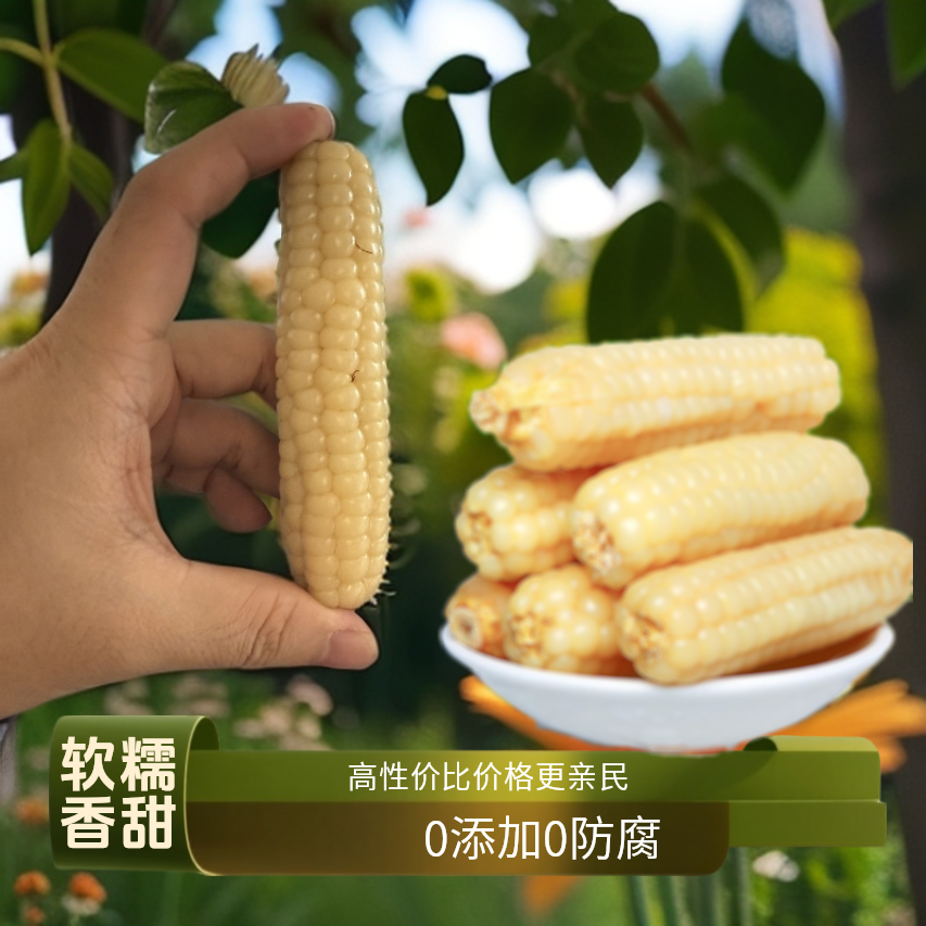 【精选饱满拇指玉米】版纳新鲜傣家新鲜采摘软糯清甜食用老少皆宜
