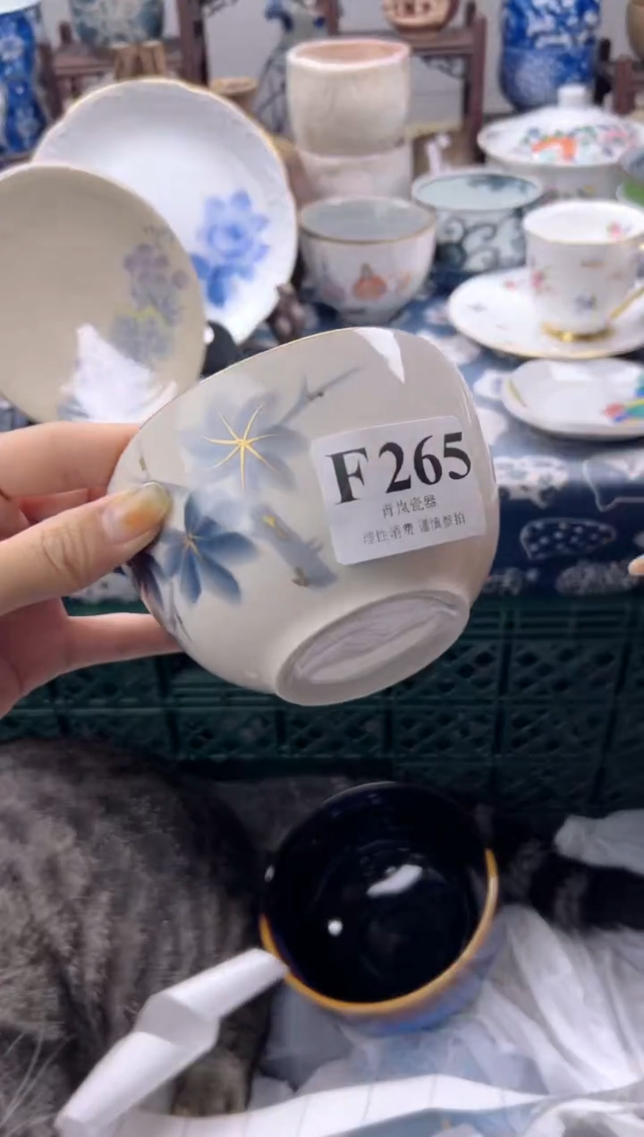 瓷片薇*安  F265