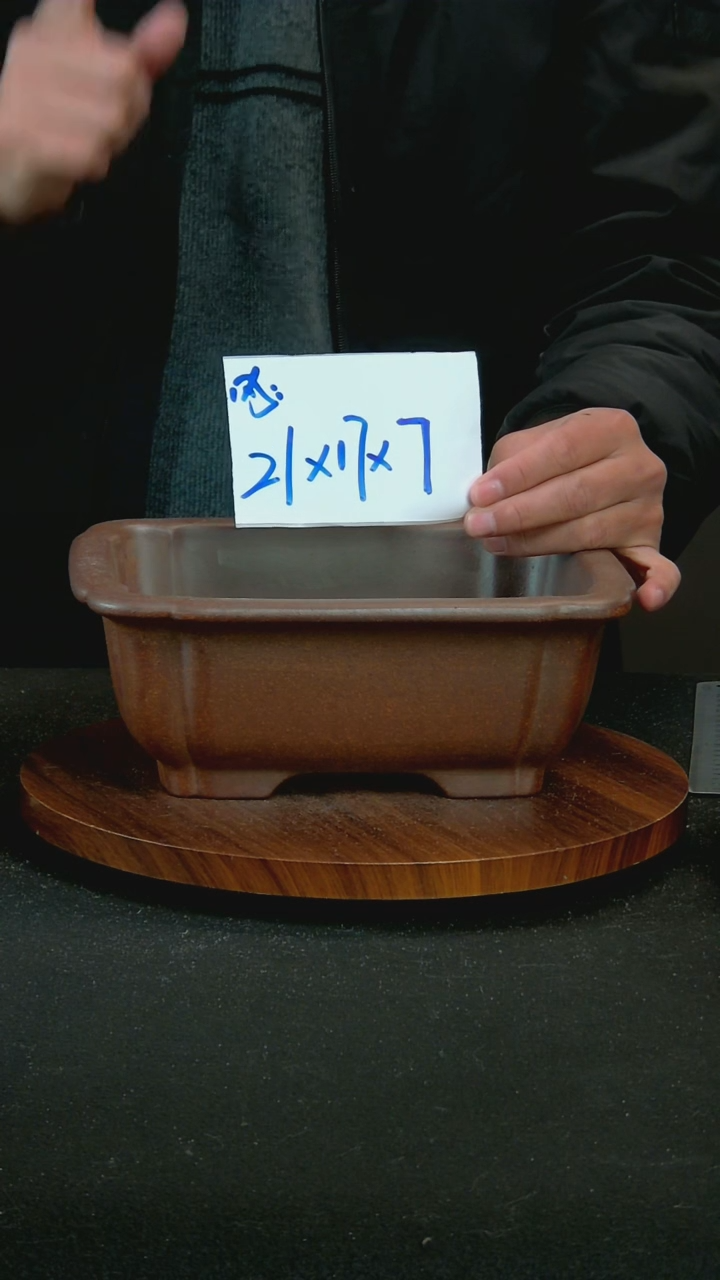 【闪购商品】紫砂J86