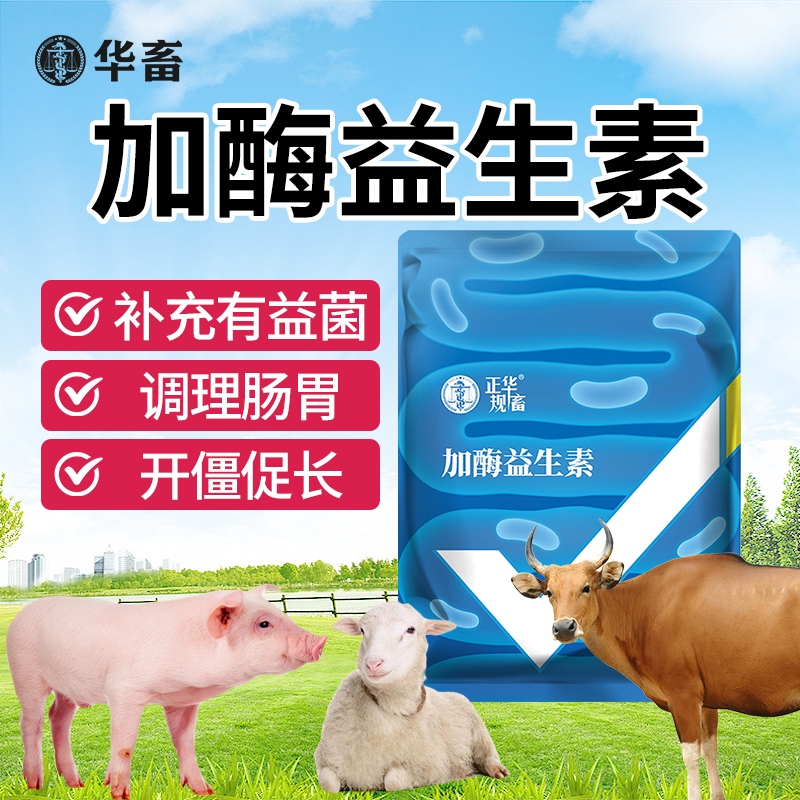 兽用益生菌加酶益生素万亿活菌猪牛羊鸡鸭鹅畜禽养殖饲料添加剂Z