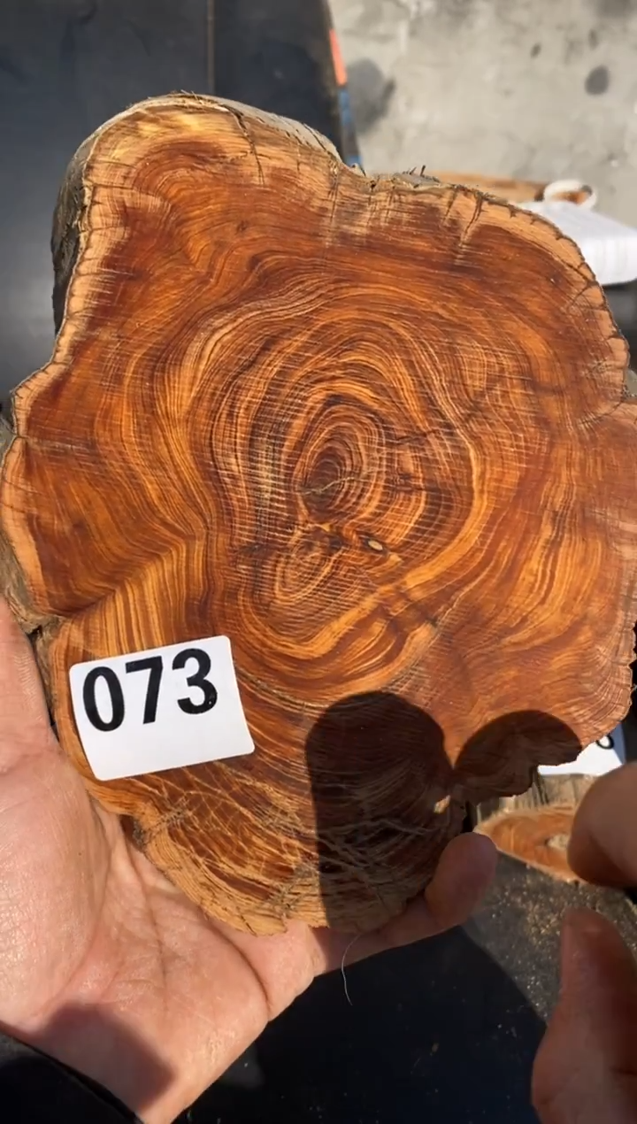 柏木（崖柏）太行陈化崖柏切片！随机(1单1片）073