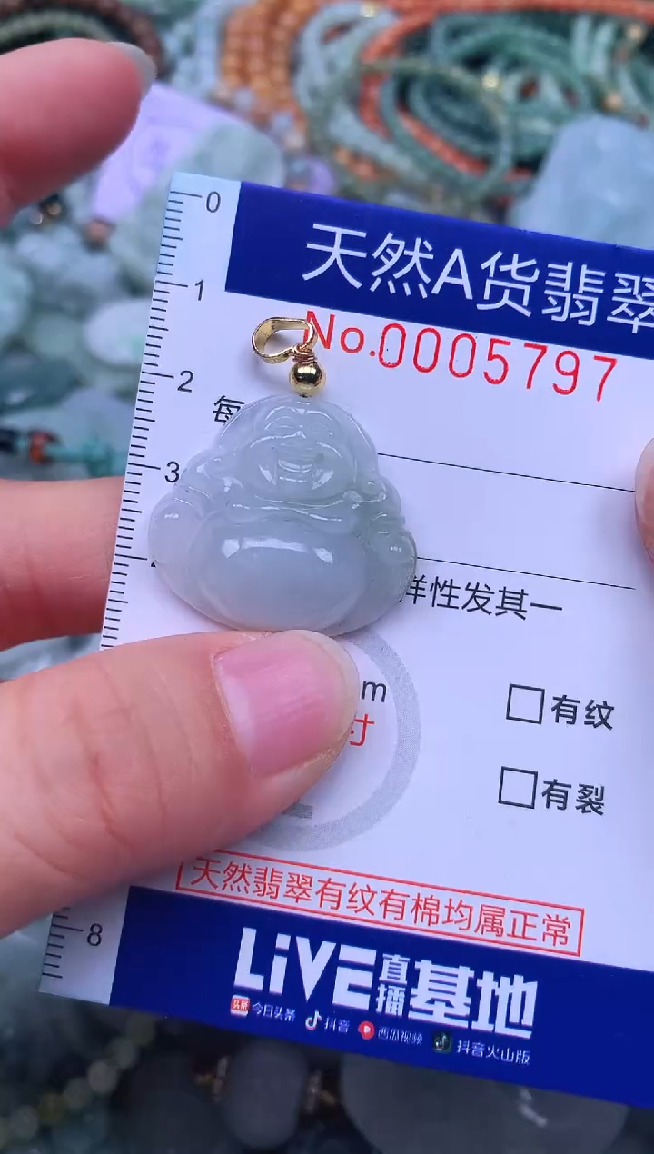 颈饰未镶嵌翡翠天然翡翠