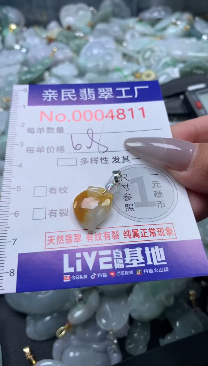 颈饰未镶嵌翡翠4811