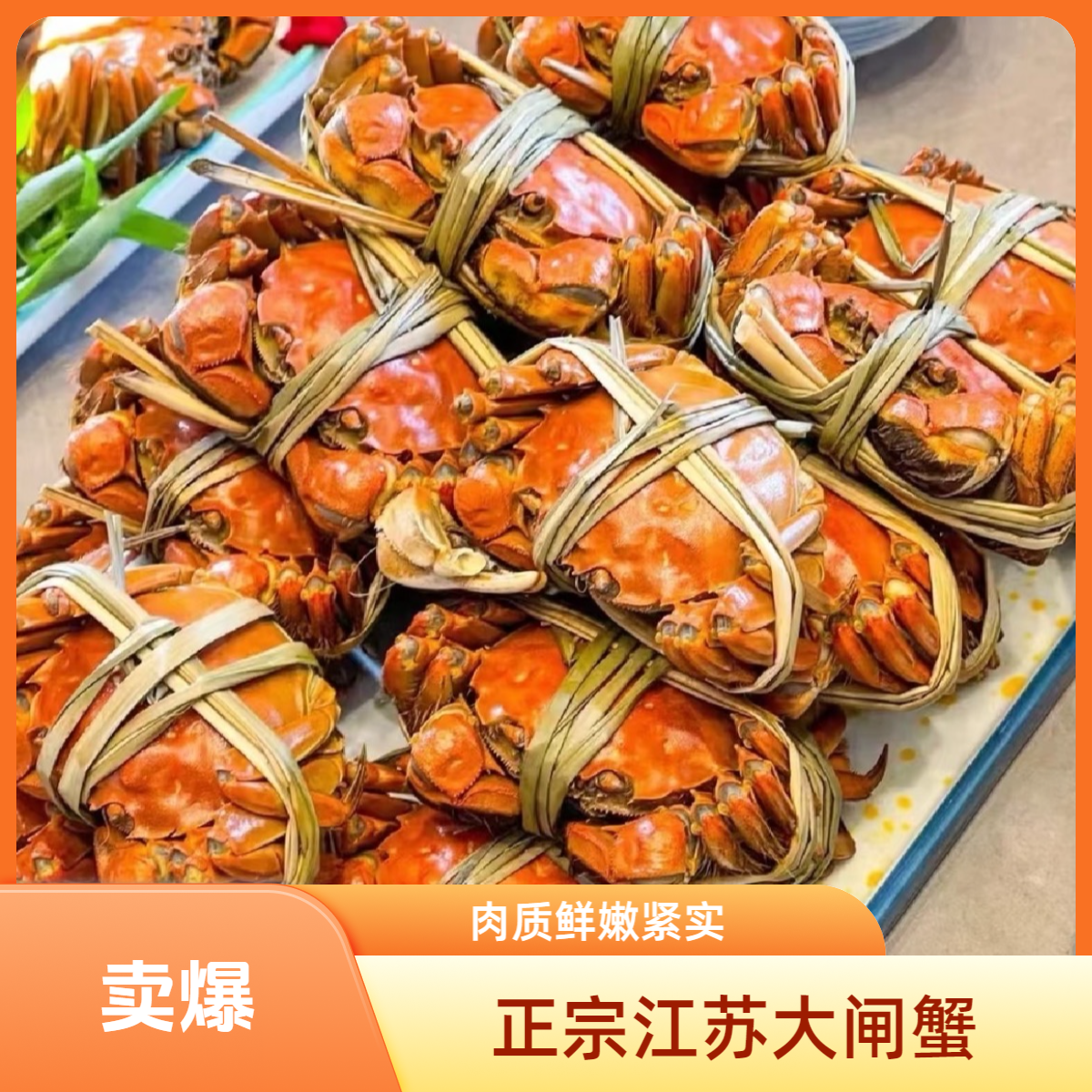 【活蟹】江苏大闸蟹2.5两全母蟹2.4-2.7两8只送2只共10只