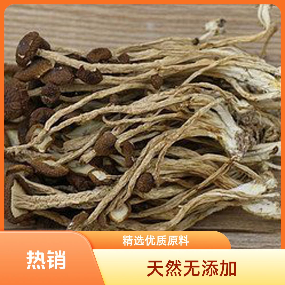 【西瓜夫妇】农家茶树菇