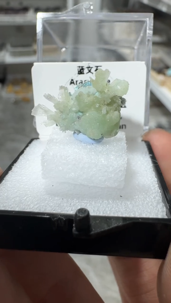 【闪购商品】月下珠宝严选矿物