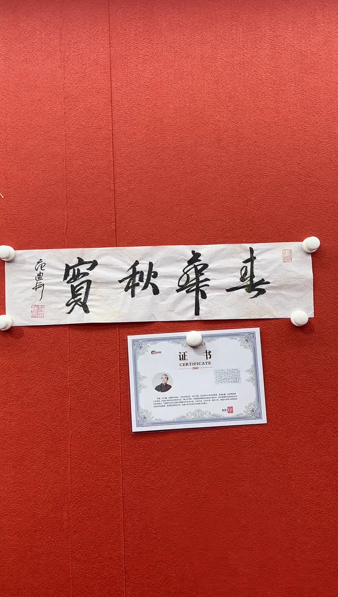 书法复星书画精选作品