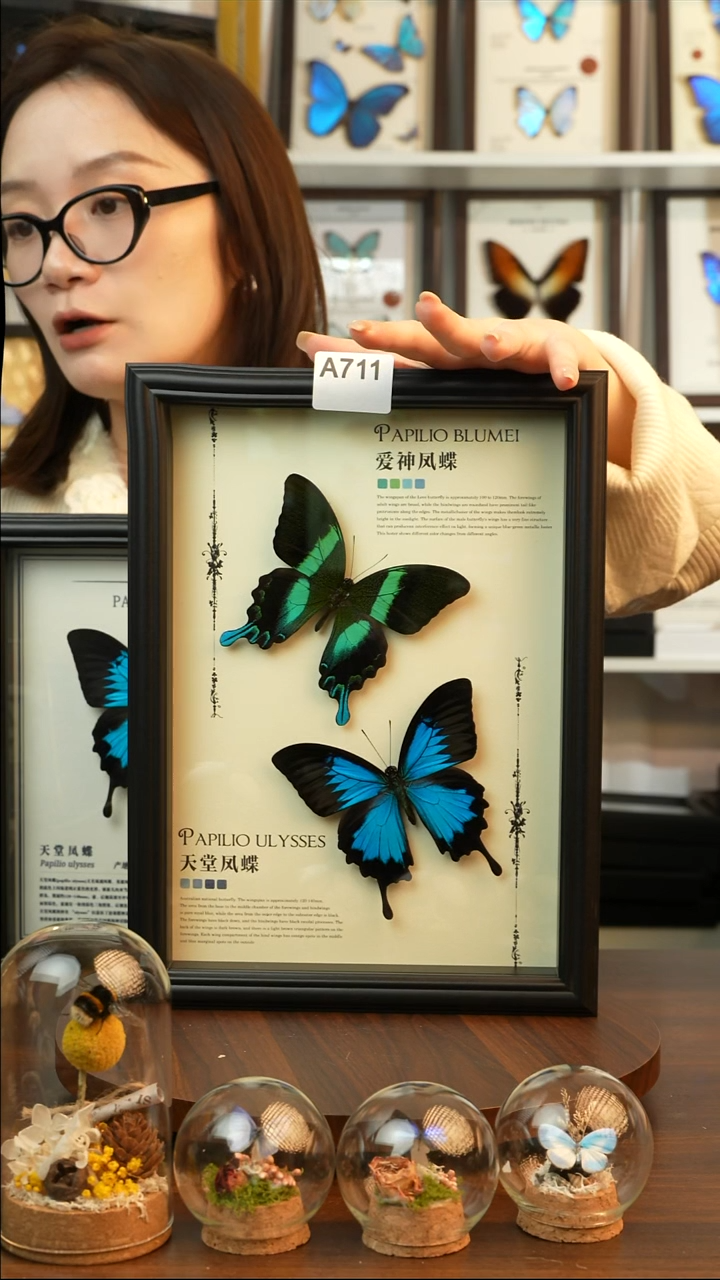 爱神凤蝶天堂凤蝶组合款(A4欧式黑框)A711