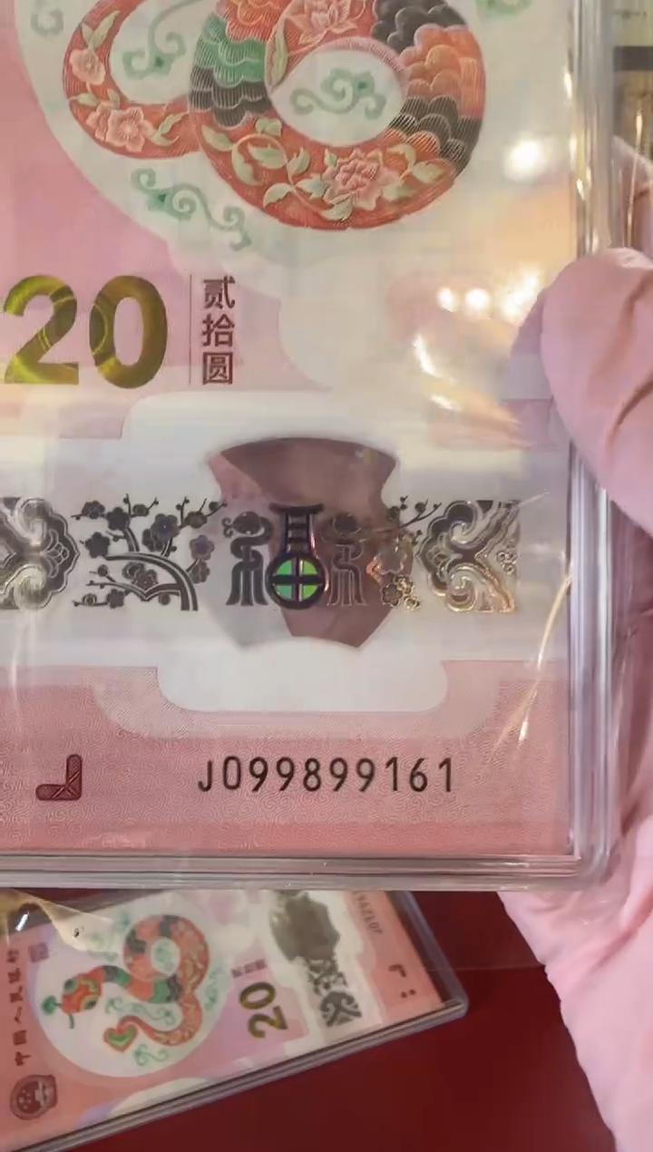 【闪购商品】塑料25蛇钞099899161单张裸