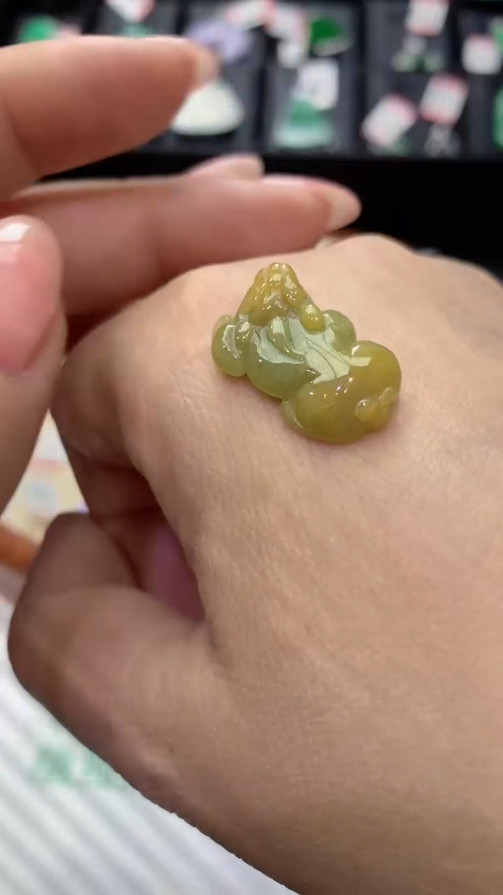 【闪购商品】翡翠颈饰未镶嵌天然A货翡翠