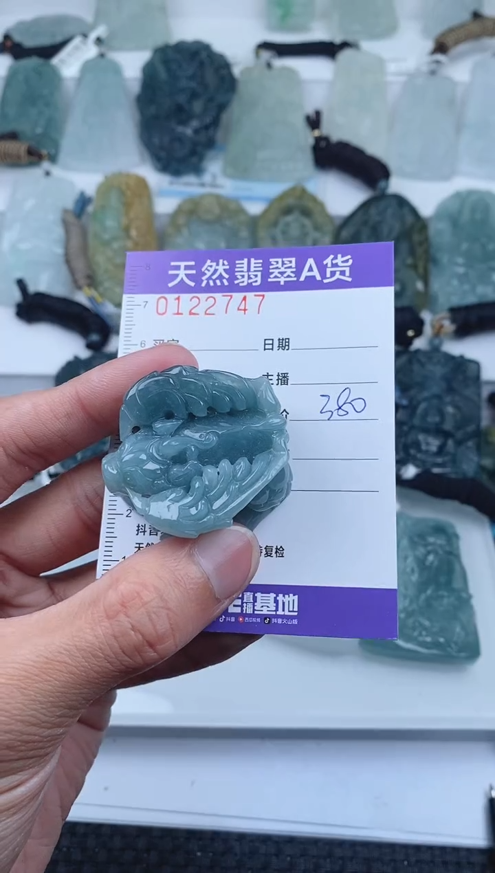 【闪购商品】翡翠颈饰未镶嵌        747