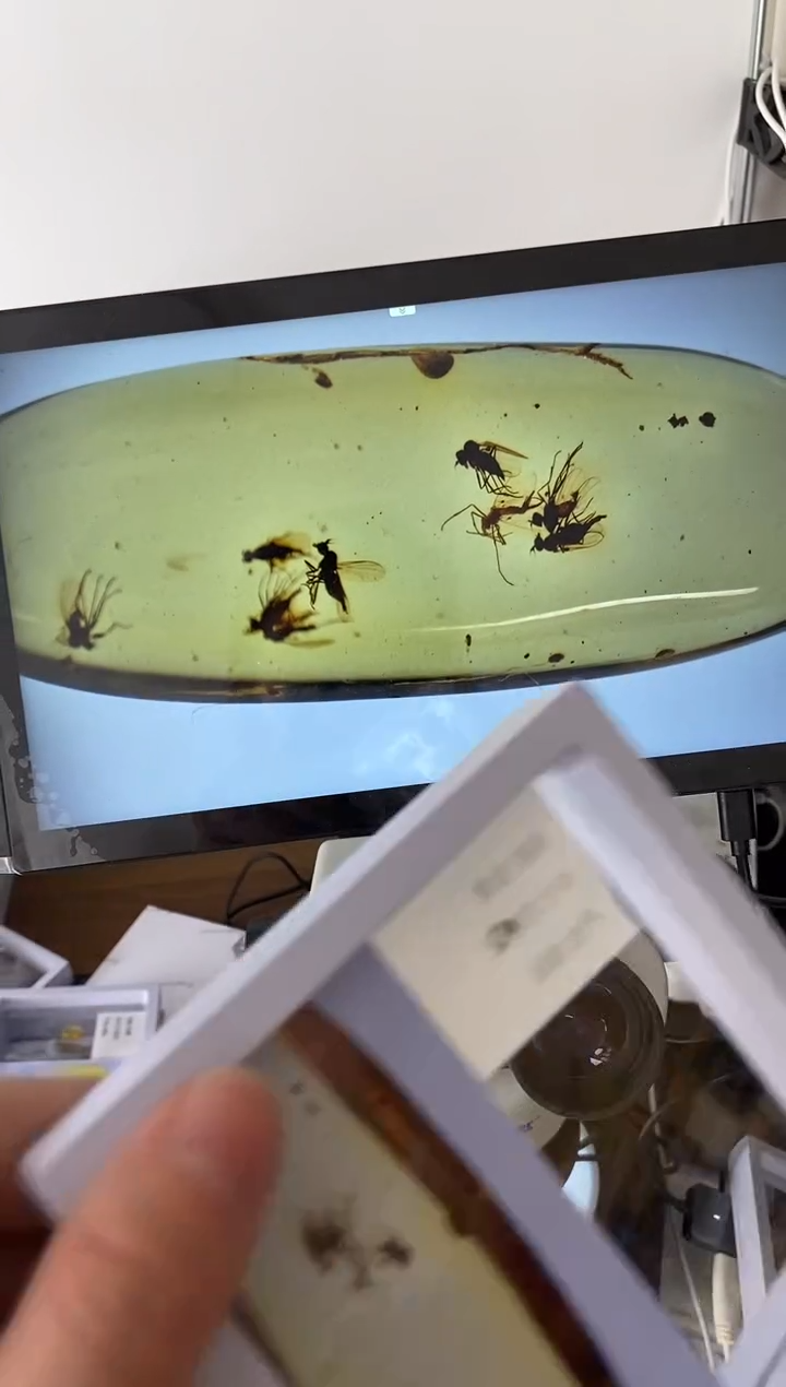 翼*精美摆件创意礼物家居配饰新年礼物个人收藏