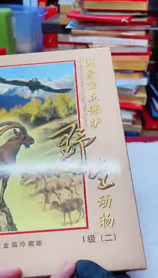 保护野生动物二邮折