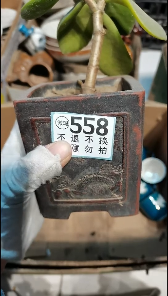 陶瓷高**翔哈哈哈哈哈哈哈哈哈