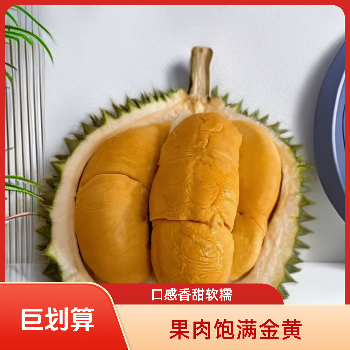 【一物一拍】AA保5房马来西亚黑刺榴莲液氮精品黑刺马来西亚