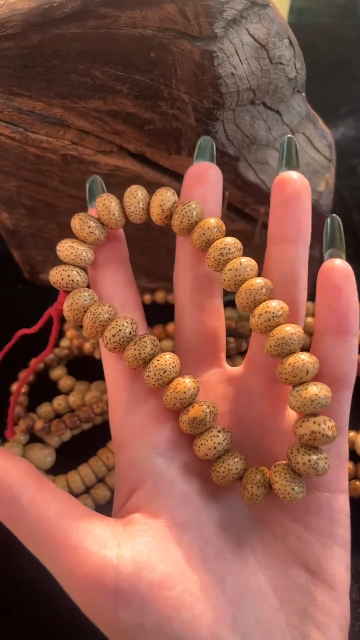 手串星月菩提精工陈籽算盘手持（大孔道B）13*9