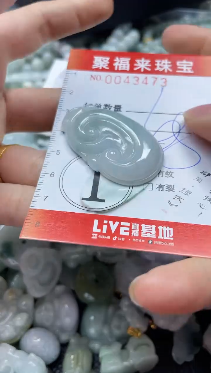 【闪购商品】翡翠颈饰未镶嵌闪购0043473