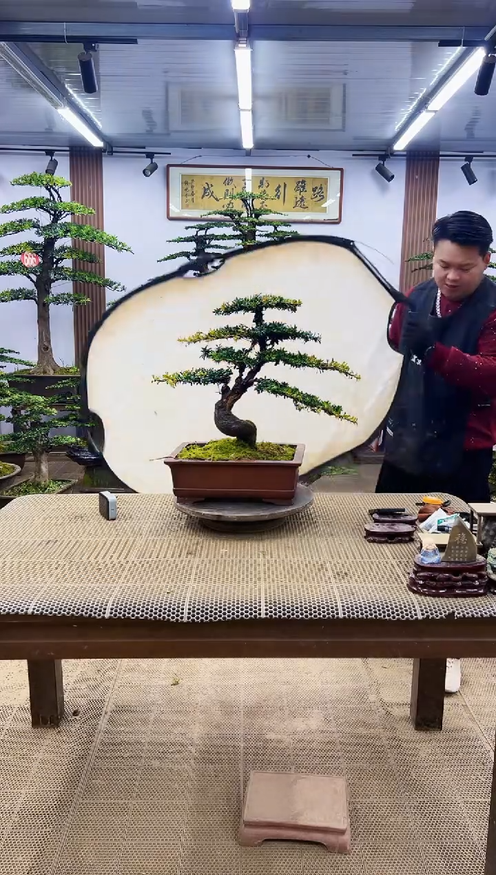 【闪购商品】000000000