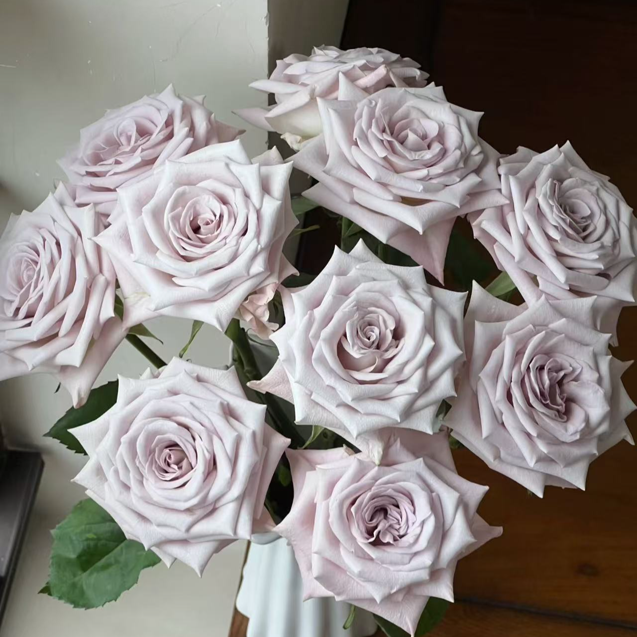 【大力甄选】AA级曼塔单头玫瑰 云南基地现采现发 一单包邮