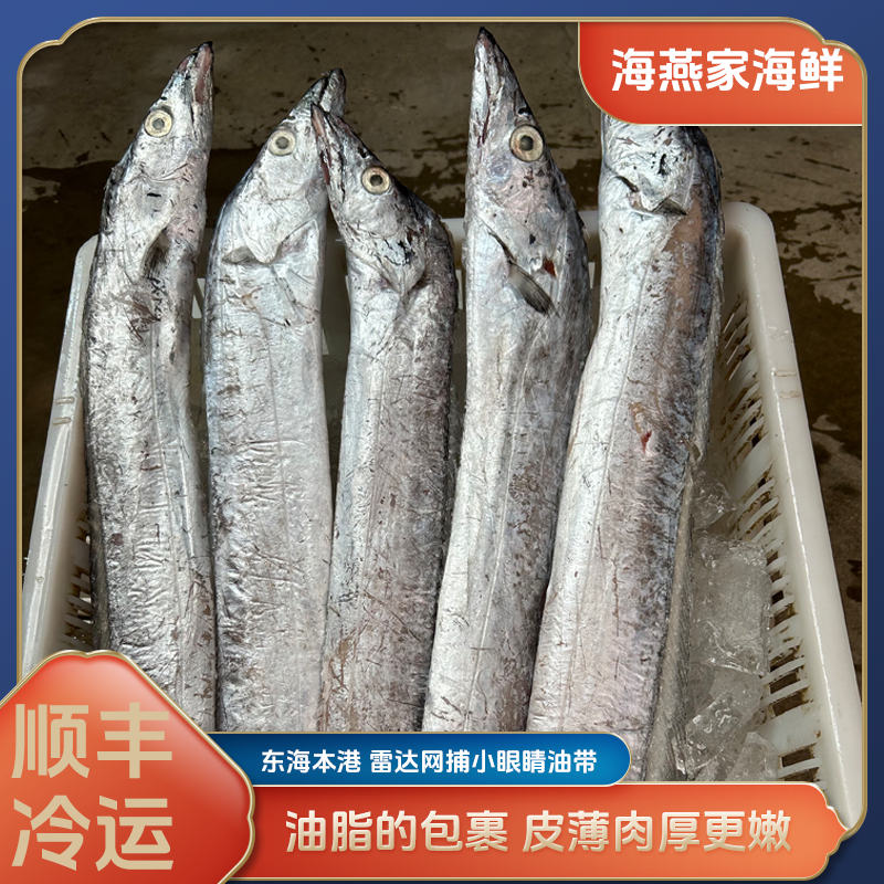 宁波东海雷达网捕小眼睛油带 到手5斤共4条急冻锁鲜 1-1.4斤/条