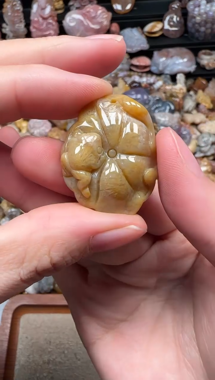 颈饰未镶嵌硅化珊瑚（珊瑚玉）795