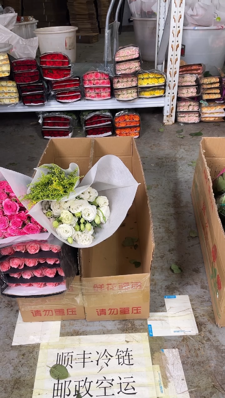 戴安娜20枝+苏菲10枝+白色洋桔梗400克+黄莺