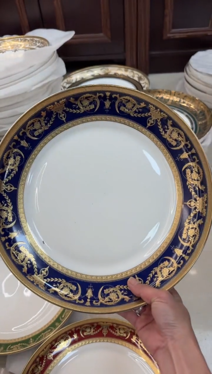 【闪购商品】瓷片12寸窝盘微瑕 福利价