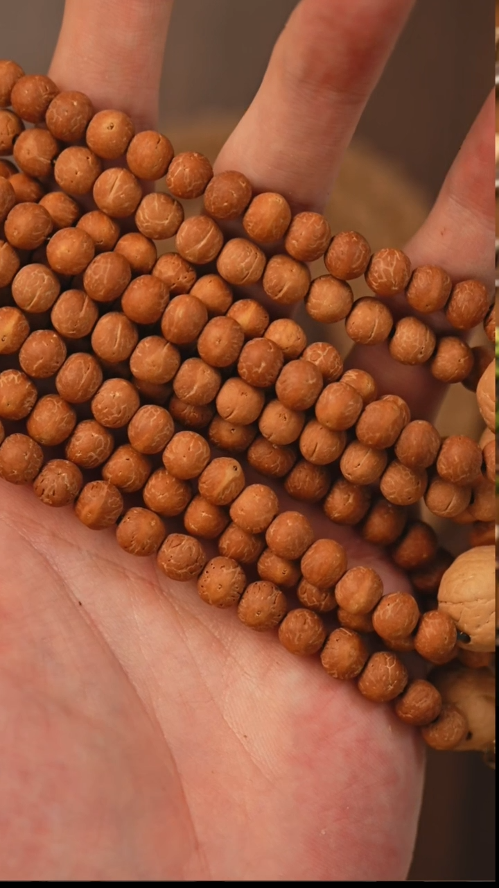 手串凤眼菩提S02酸枣核单圈