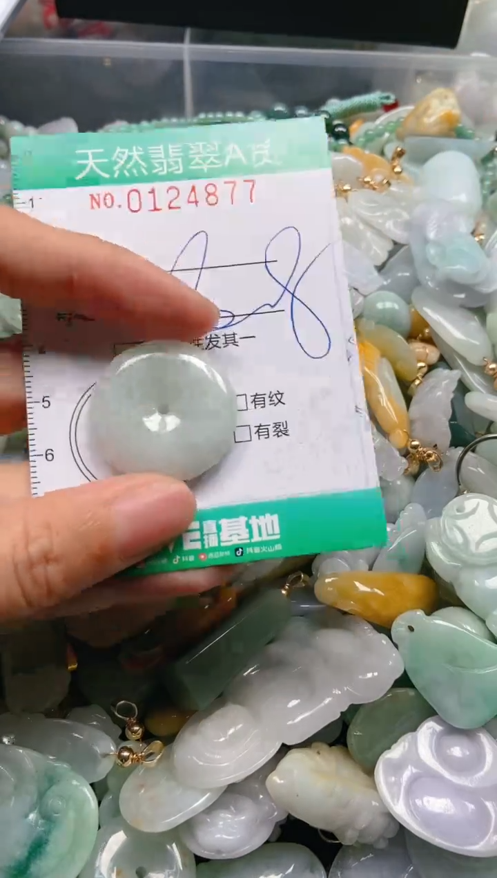 翡翠未镶嵌颈饰闪购0124877