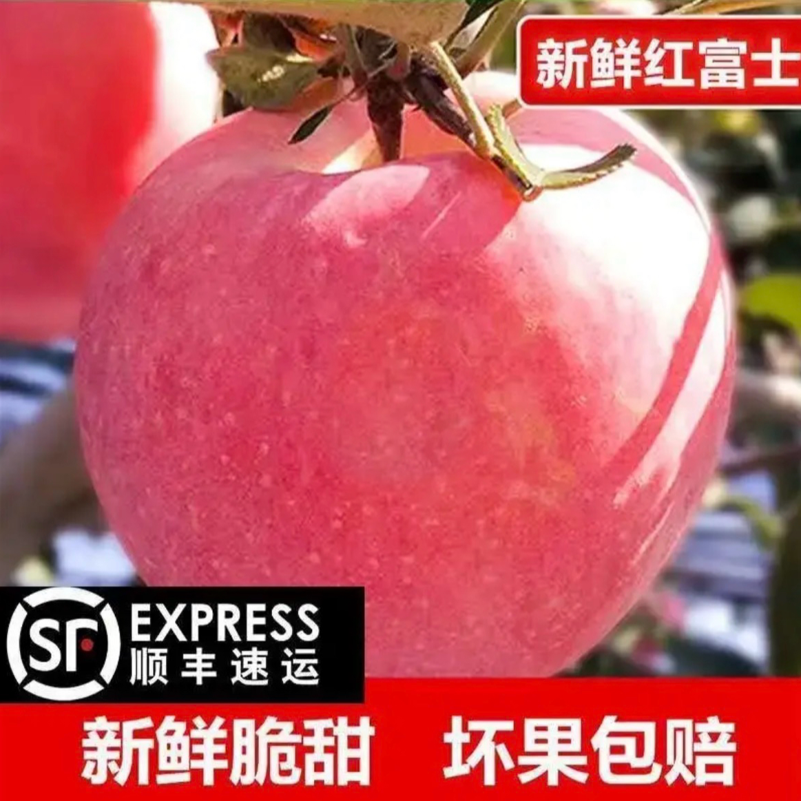 山西运城万荣红富士冰糖心丑苹果晚熟现摘脆爽多汁皮薄顺丰包邮