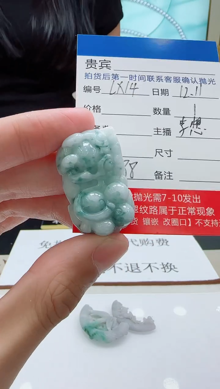 颈饰未镶嵌翡翠LX14翡翠吊坠-多样性发其一