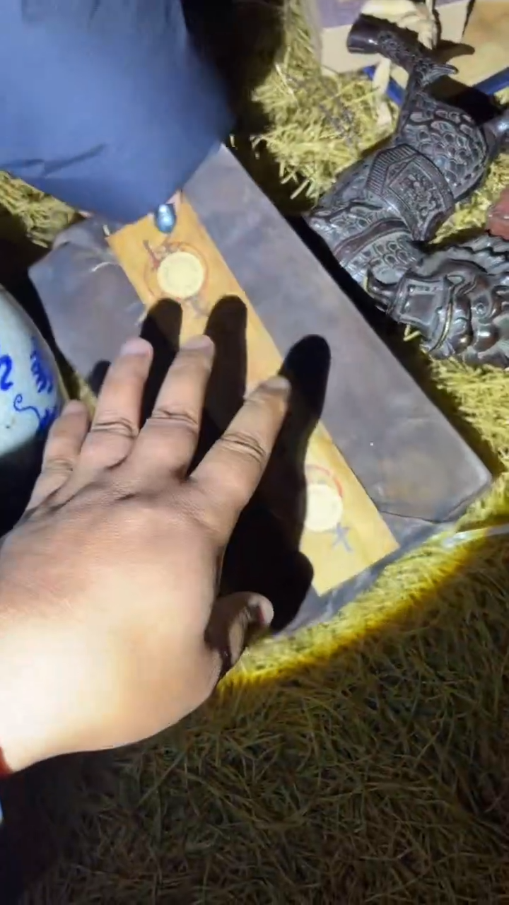 香榧木------------福利