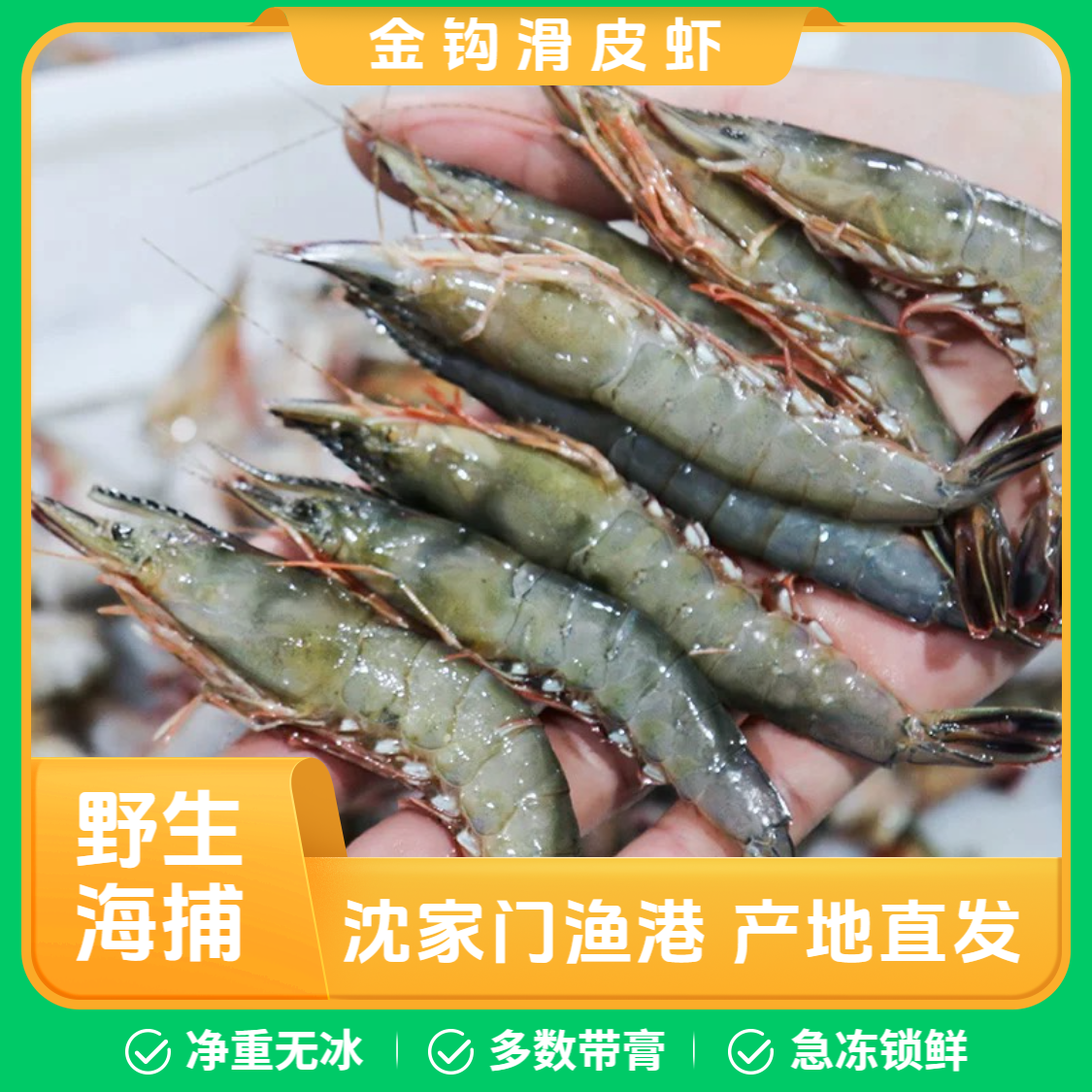 舟山本港野生青壳滑皮虾 条虾剑虾麻虾 野生虾码头直发老少皆宜