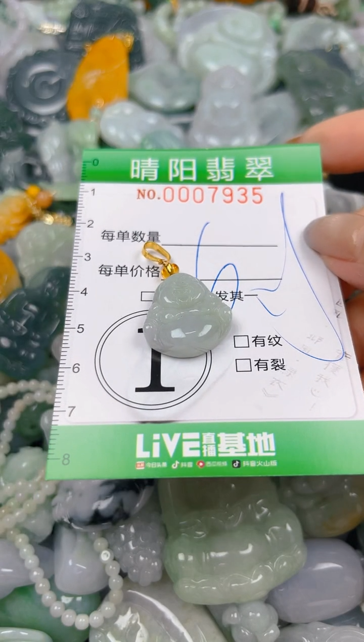 翡翠未镶嵌颈饰闪购0007935