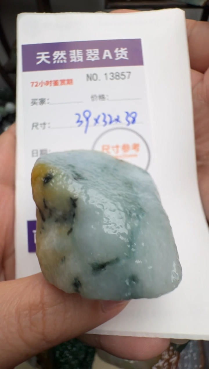 【闪购商品】翡翠颈饰未镶嵌翡翠13857