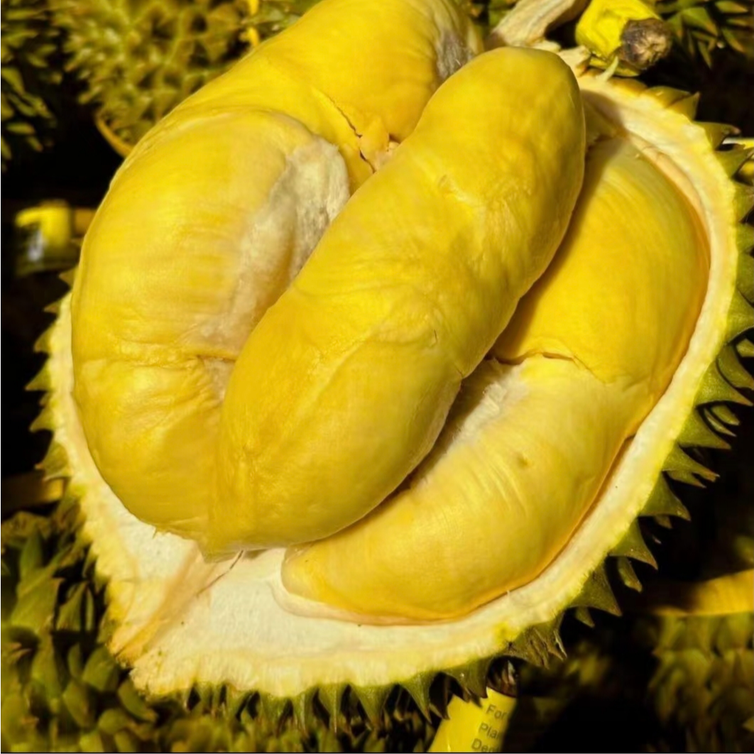 妮子一号称AA果【一物一拍】金枕鲜榴莲带壳软糯香甜一整颗