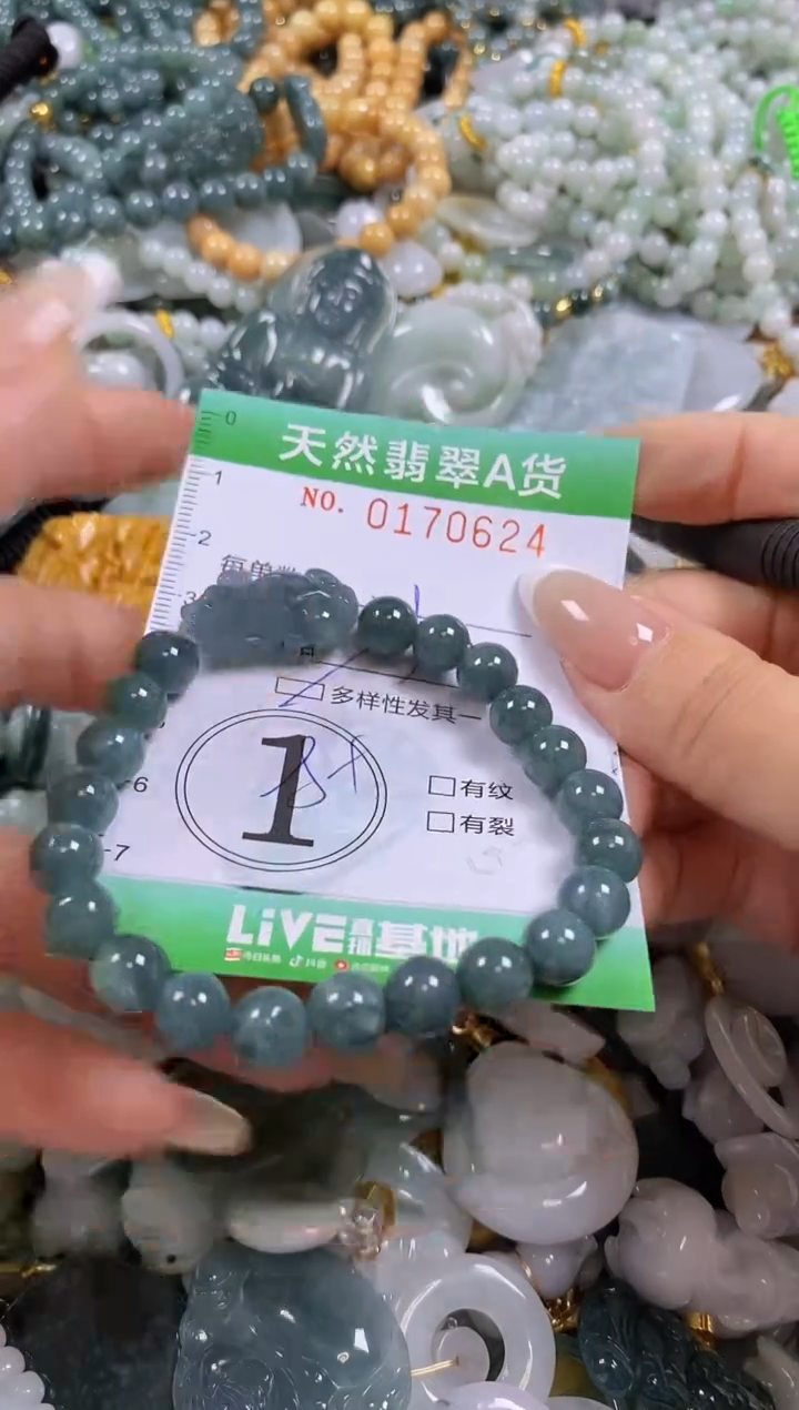 翡翠未镶嵌颈饰闪购0170624多样性发其一