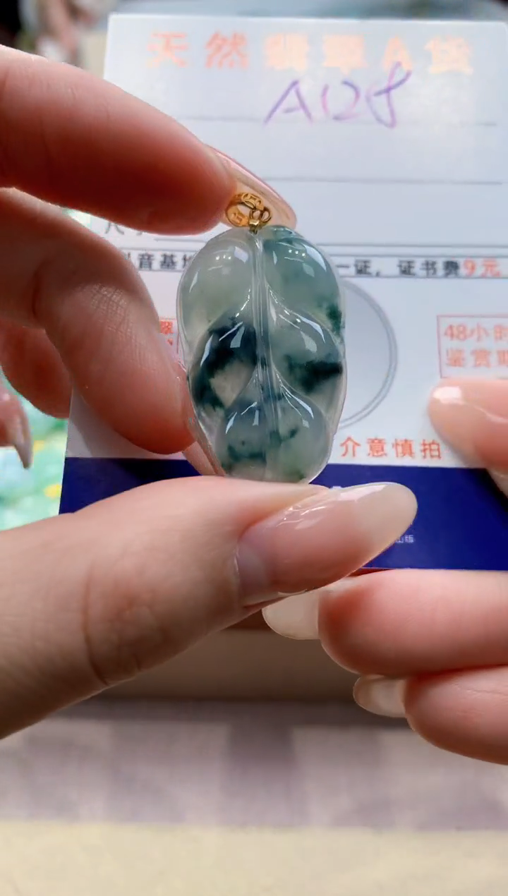 颈饰未镶嵌翡翠天然翡翠挂件 