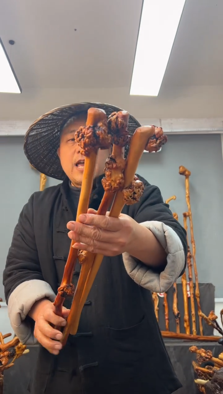 【闪购商品】黑果木其他黑果木191