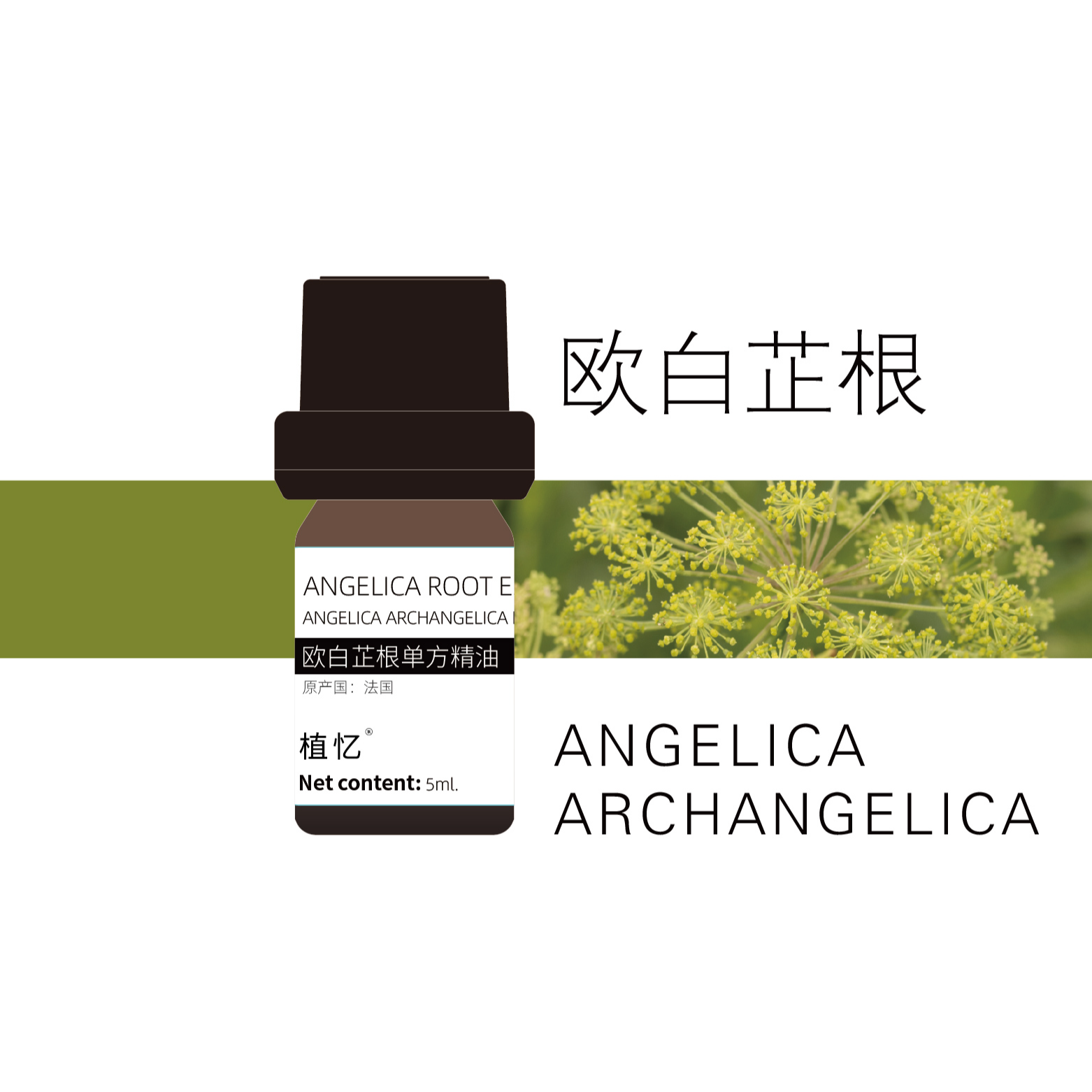 【上新优惠】植忆法国【欧白芷根】单方精油泥土药草麝香香薰扩香