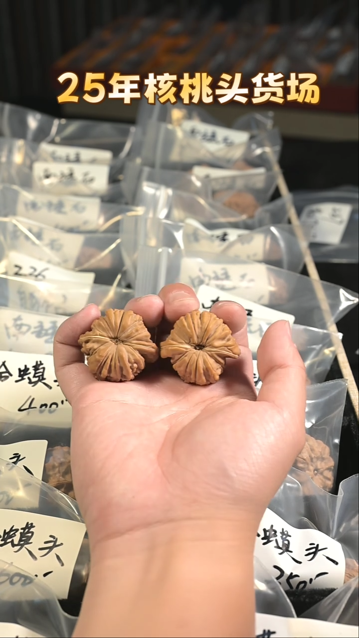 把件核桃37尺华坤龙核桃