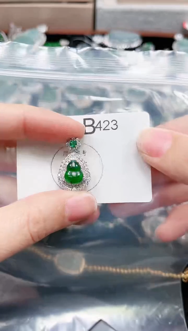 【闪购商品】翡翠颈饰未镶嵌423赠皮绳