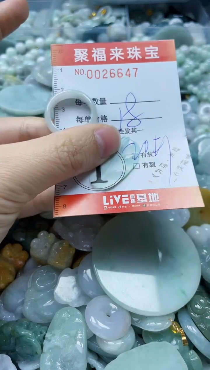 【闪购商品】翡翠颈饰未镶嵌闪购0026647