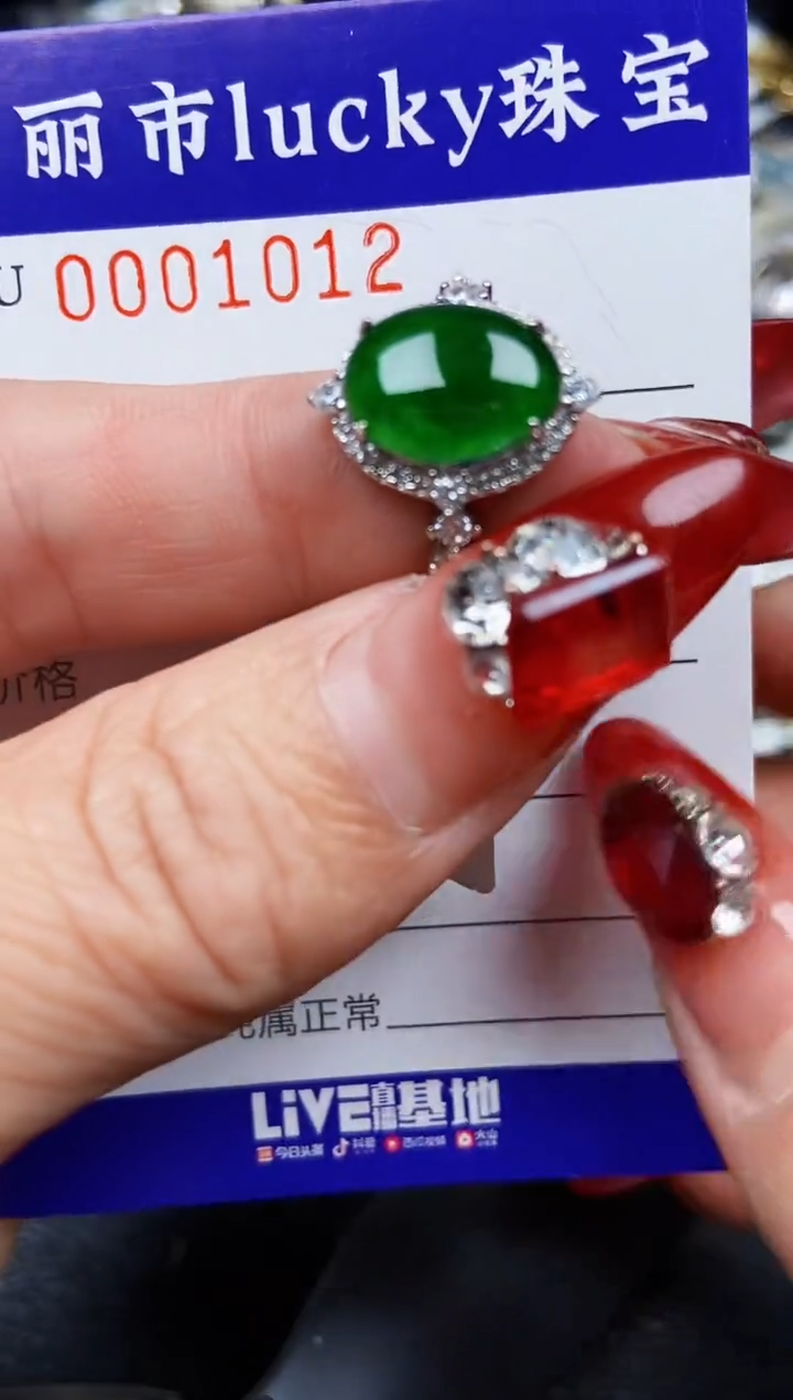 【闪购商品】翡翠颈饰银S925镶嵌1012