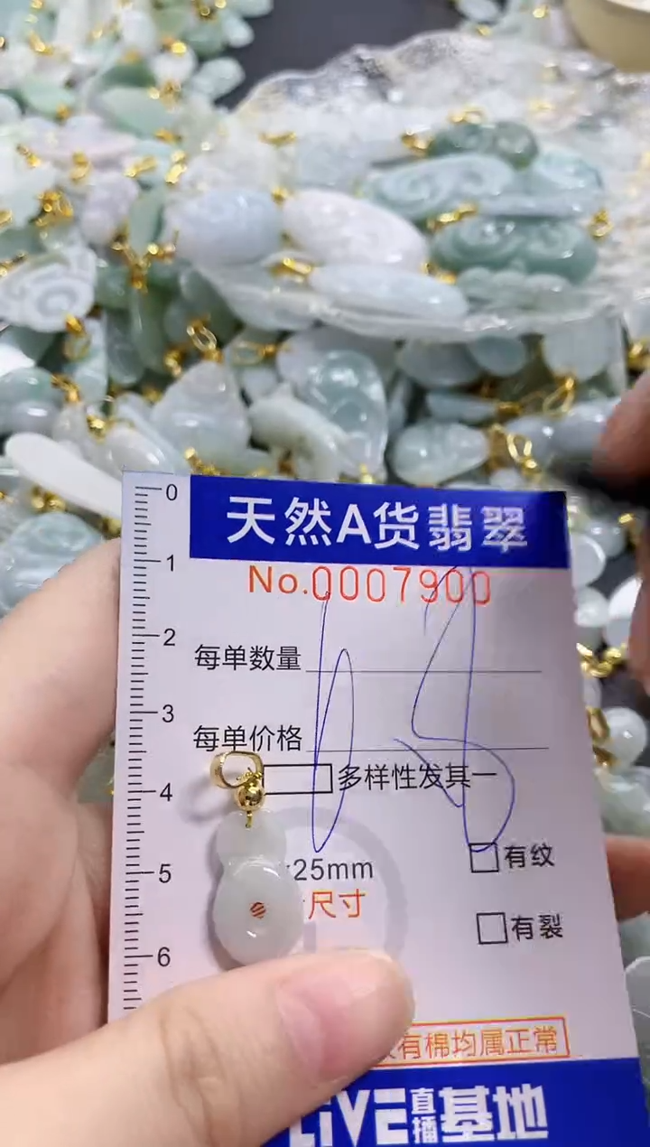 颈饰未镶嵌翡翠天然A货翡翠